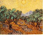 Vincent Van Gogh Olive Trees with Yellow Sky and Sun Sweden oil painting artist